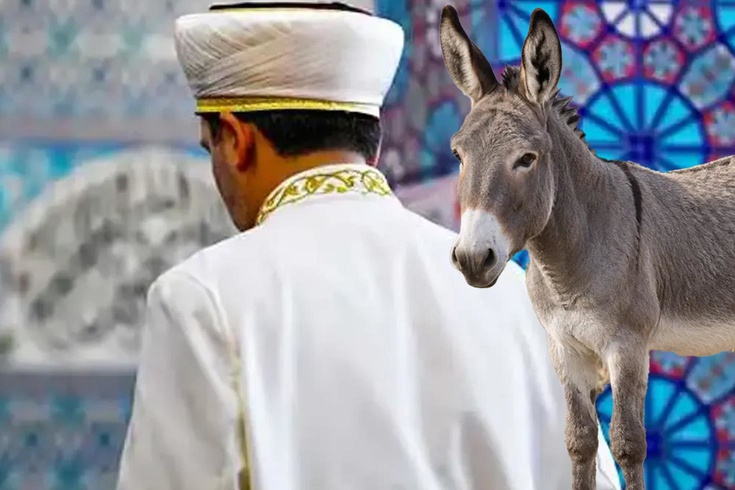 Diyanet'ten eşek ve katır eti fetvası