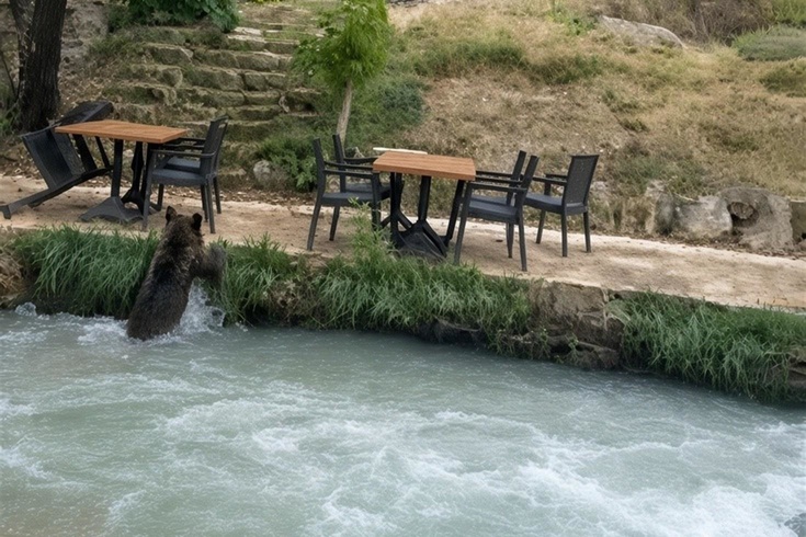 Erzincan'da restoranın bahçesine yavru ayı girdi! Çalışanları görünce su kanalından yüzerek kaçtı