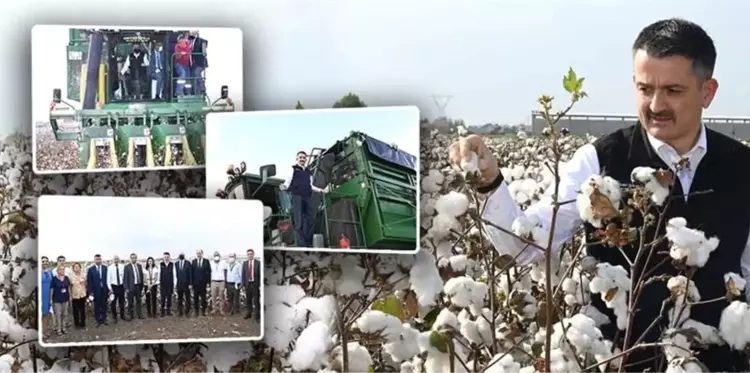 Bakan Pakdemirli biçerdövere binip pamuk hasat etti