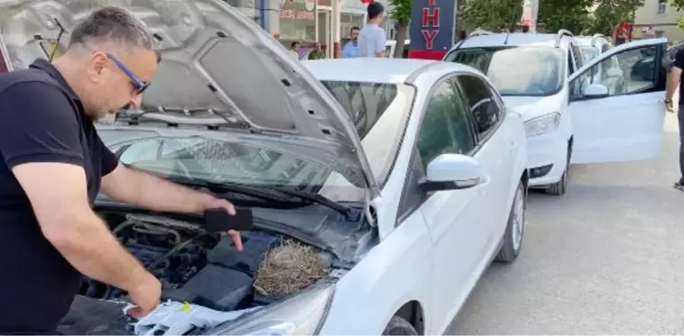 MOTOR KISMINA KUŞUN YUVA YAPTIĞI OTOMOBİL KİRALIKTAN ÇIKARILDI