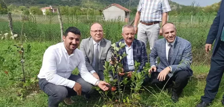 Zonguldak ekonomi haberi... Zonguldak'ta 'Aronya' meyvesinin hasadı gerçekleştirildi