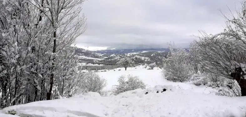 Erzincan'ın yüksek kesimleri kardan beyaza büründü