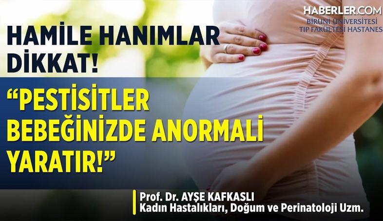 Ayşe Kafkaslı: Organik Gıdalara Ulaşmak Pahalı Ama Hastalığı Tedavi Etmek Daha Pahalı