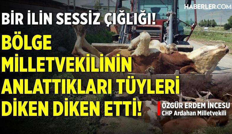 Özgür Erdem İncesu: Bölgeyi Ciddi Anlamda Ekonomik Sıkıntıya Sokacak Kayıplar Var