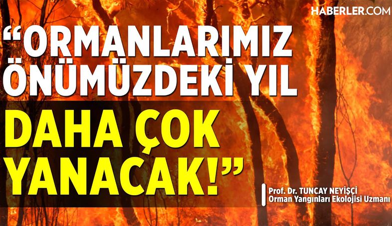 Prof. Dr. Tuncay Neyişçi: Ormanlarımız Önümüzdeki Yıl Daha Çok Yanacak