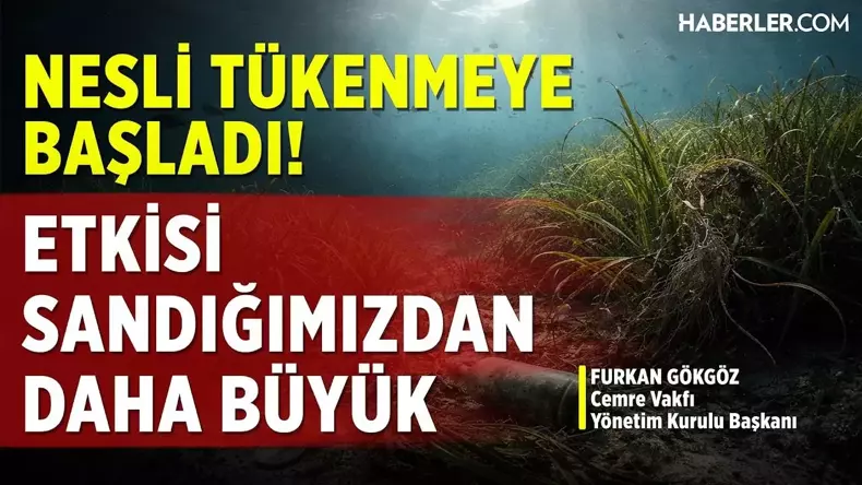 Cemre Vakfı Yönetim Kurulu Başkanı Furkan Gökgöz: Biz Afet ile Çevreyi Bir Tutuyoruz