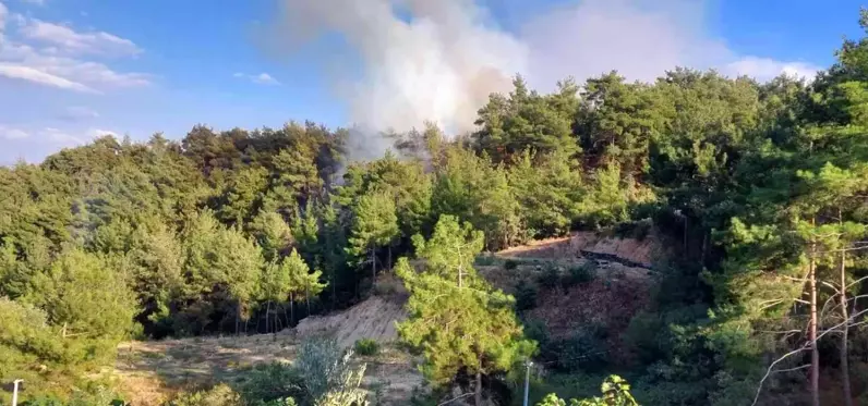 Son dakika haber! Yerleşim alanlarını tehdit eden orman yangını söndürüldü