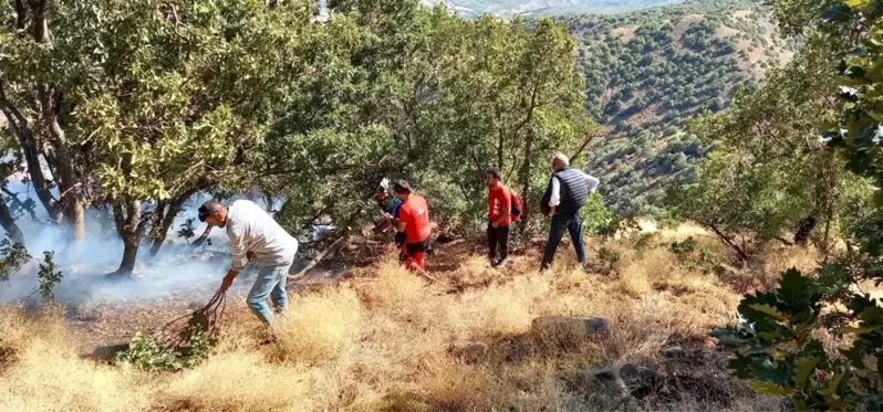 Son dakika... SAR, Bingöl'deki yangınlarda ekiplere destek verdi