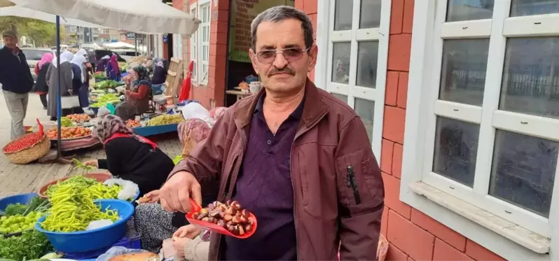 İnebolu'da Kestane Hasadı Başladı