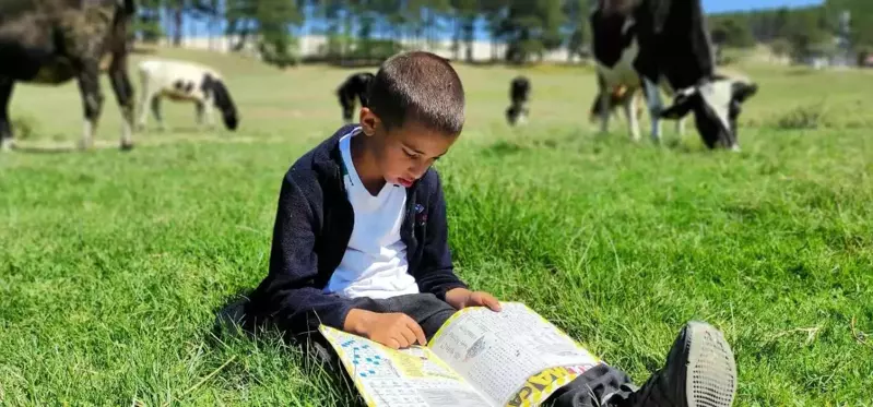 Boyundan büyük hayvanlara çobanlık yapıyor