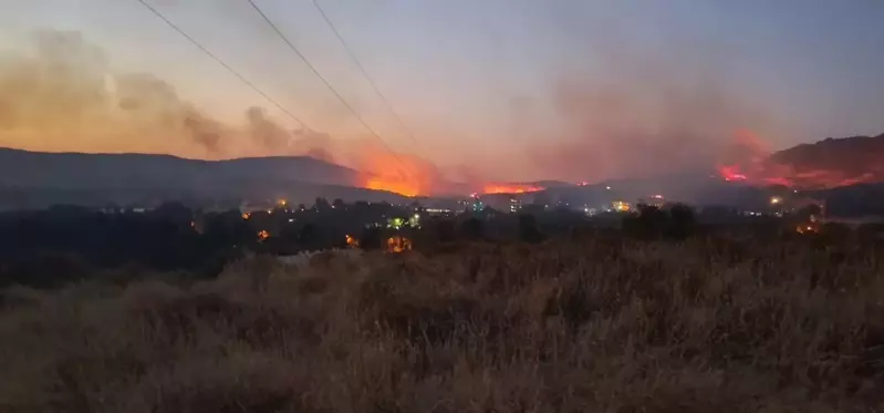 İzmir Foça'da çıkan orman yangını kontrol altına alındı