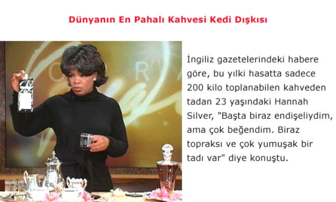Kedi Dışkısından Kahve