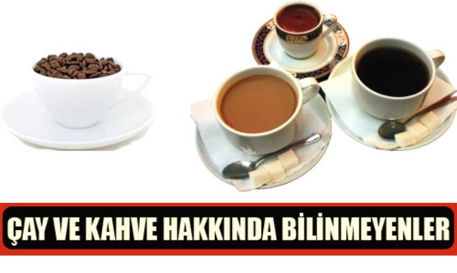 Cowberry vücudumuz için ne kadar yararlı 33