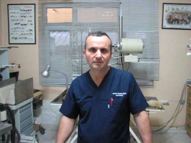 Evde İçilen Sigara Köpeği Kanser Etti