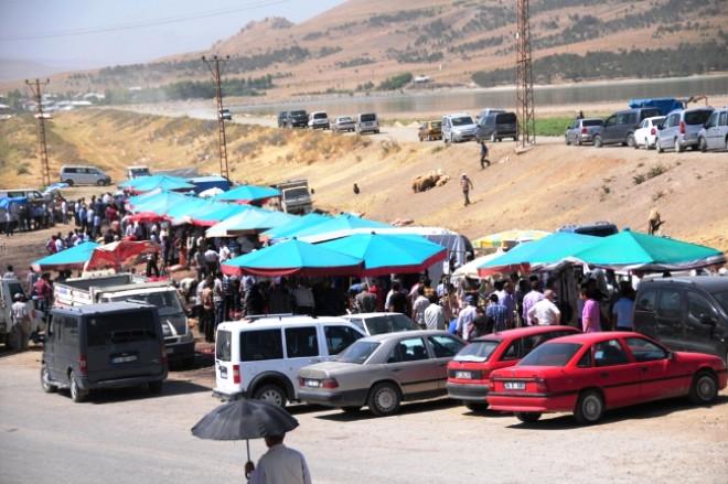 Van'da kaçak ölmüş hayvan kesim mi yapılıyor? ile ilgili görsel sonucu