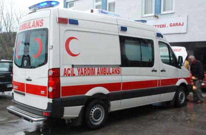 turklerin dogustan iddiali odugu 10