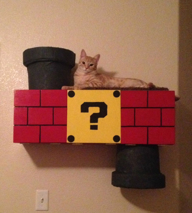 Super Mario Temalı Kedi Tırmanma Platformu