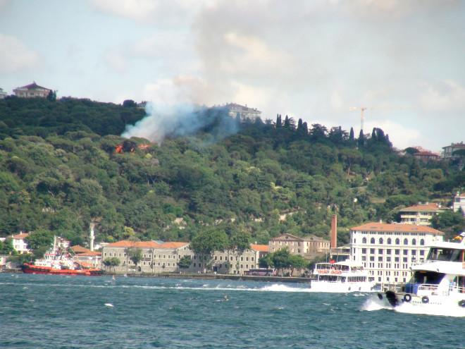 Fethipaşa Korusu’nda Yangın