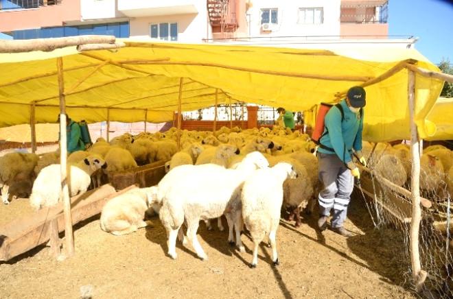 Büyükşehir’in İlaçlama Ordusu Sahada