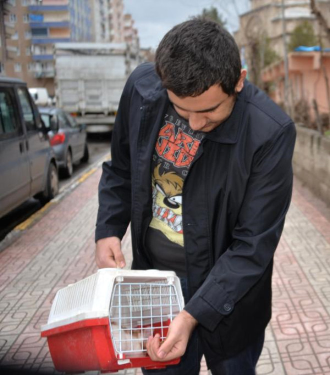 Diyarbakır’da 20 Gündür Evde Mahsur Kalan Kedi Kurtarıldı