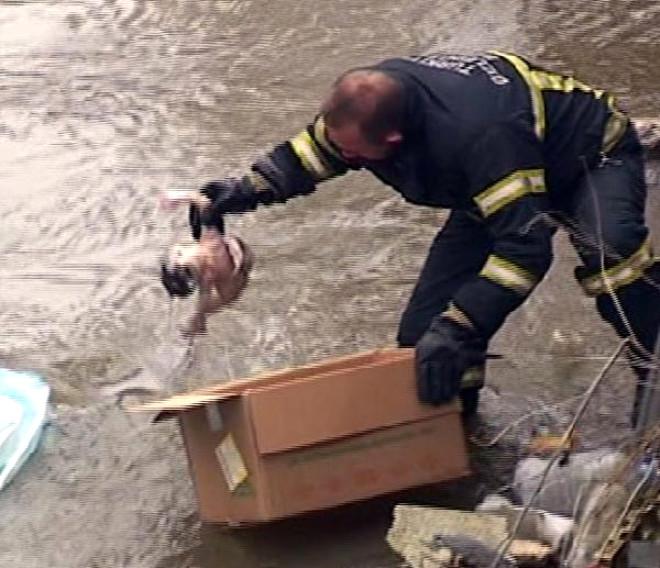 Kars Çayı’nda Bebek Cesedi Bulundu