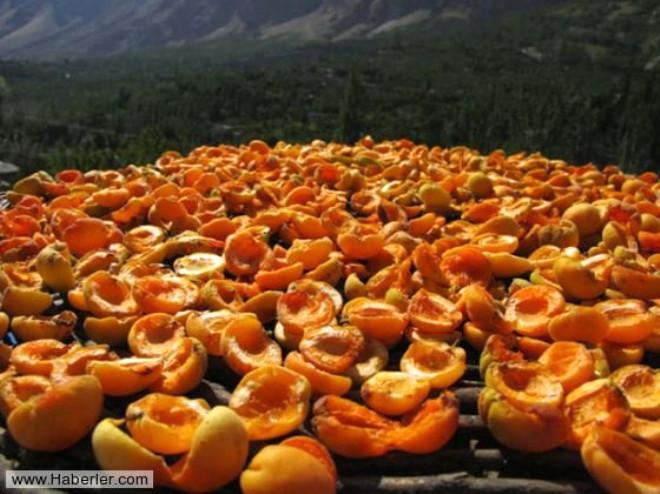 120 Yıl Yaşayan Hunza Türkleri