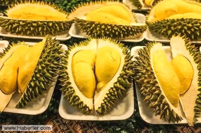 Durian Meyvesi Ile Otellere Ve Toplu Tasimaya Sakin Binmeyin Foto Galerisi