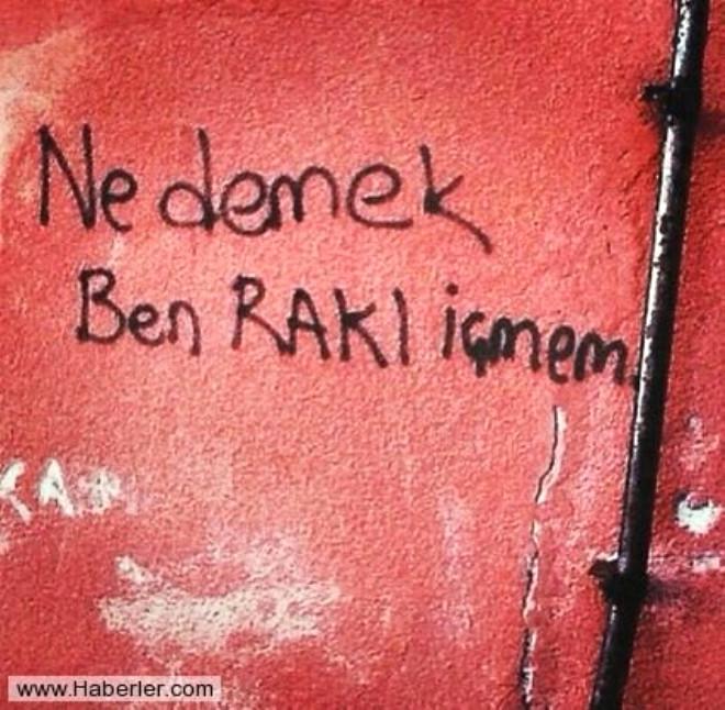 Yurdum İnsanından Efsane Duvar Yazıları Foto Galerisi