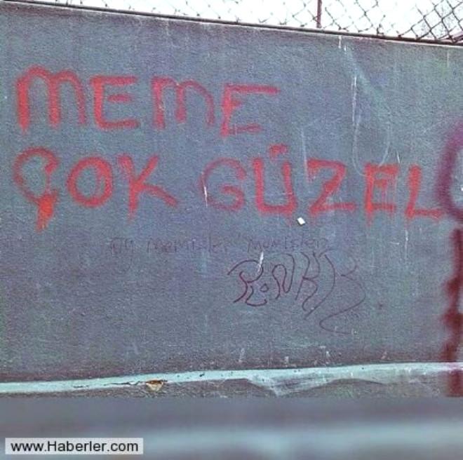 Yurdum İnsanından Efsane Duvar Yazıları Foto Galerisi