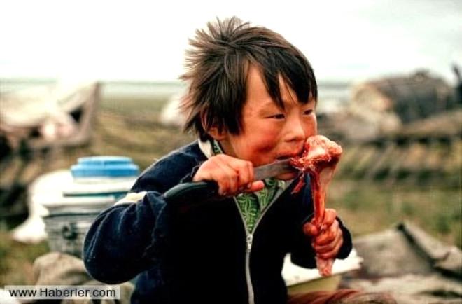 Yamal yarımadası Yamal yarımadası