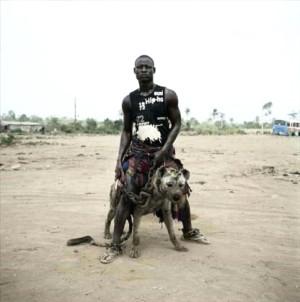 Afrika Nin Vahsi Evcil Hayvanlari Dehsete Dusuruyor Foto Galerisi