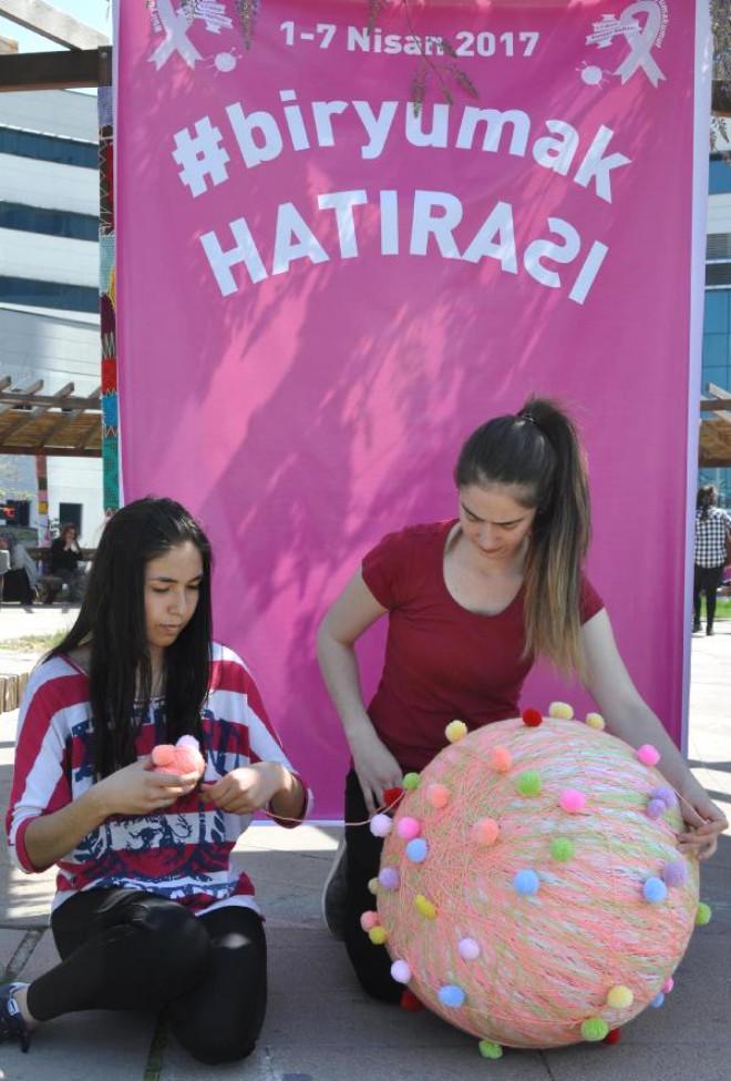 Beyaz kediler hakkında ilginç bilgiler Beyaz kediler hakkında ilginç bilgiler