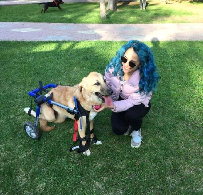 Universite Ogrencisi Evinde Felcli Ve Gorme Engelli Kedi Kopek Besliyor Foto Galerisi