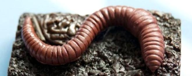 Bedava Verseler de Yemek İstemeyeceğiniz 13 Çikolata