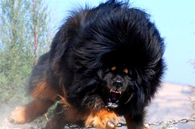 Dünyanın Çeşitli Yerlerinde Çekilmiş En Etkileyici 15 Fotoğraf
