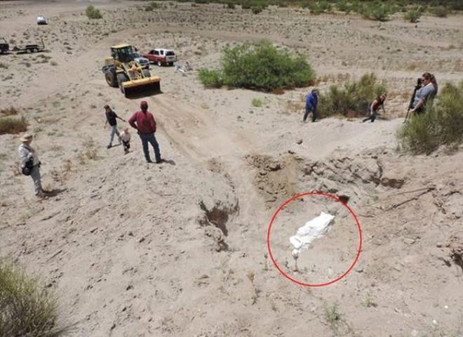 ABD'de Bir Çocuk 1.2 Milyon Yaşındaki Fosili Keşfetti