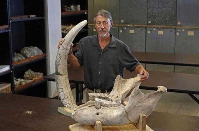 ABD'de Bir Çocuk 1.2 Milyon Yaşındaki Fosili Keşfetti