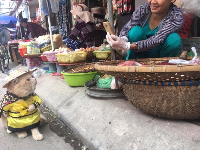 Balıkçı Kedi Sosyal Medyayı Salladı