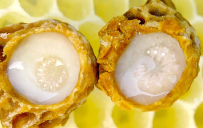 Kanser Hastalarının Yeni Umudu: Propolis