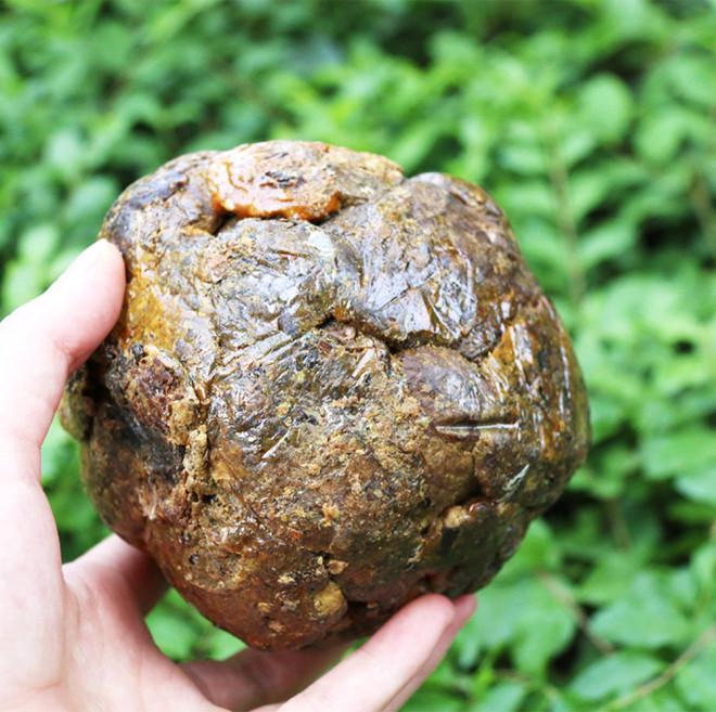 Kanser Hastalarının Yeni Umudu: Propolis