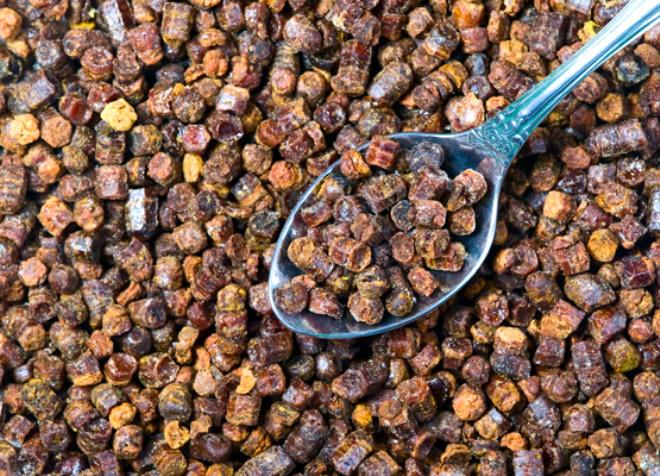 Kanser Hastalarının Yeni Umudu: Propolis