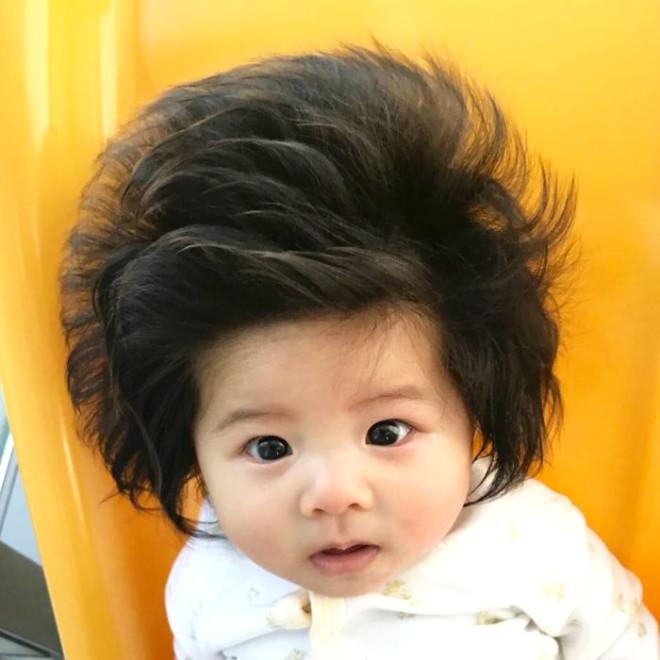6 Aylık Japon Bebek, Gür Saçlarıyla Fenomen Oldu