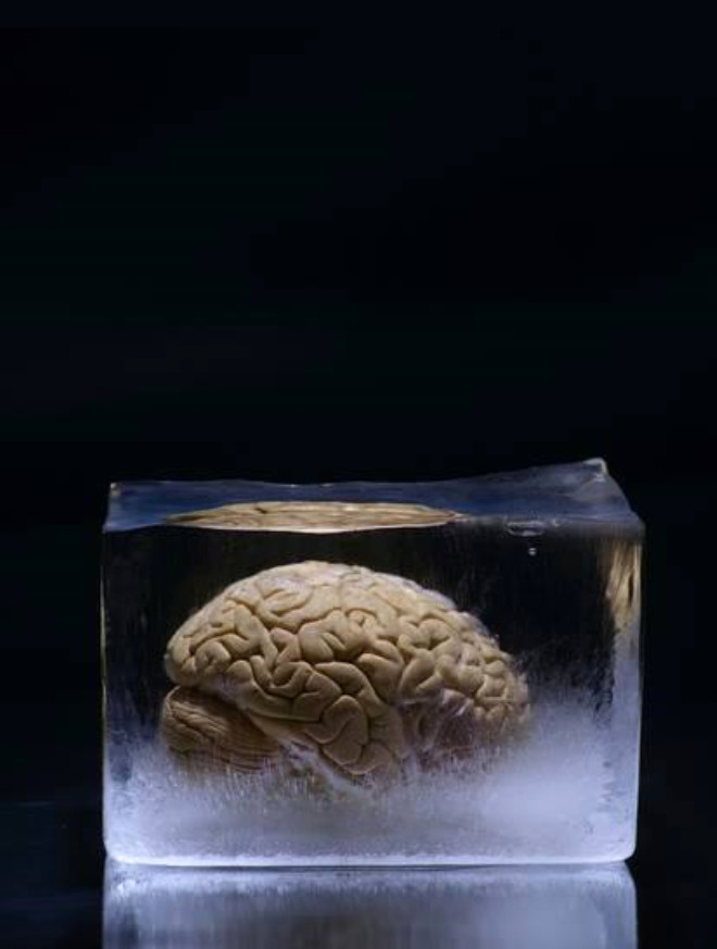 Zenginlerin Yeni Akımı: Beyinlerini Donduruyorlar