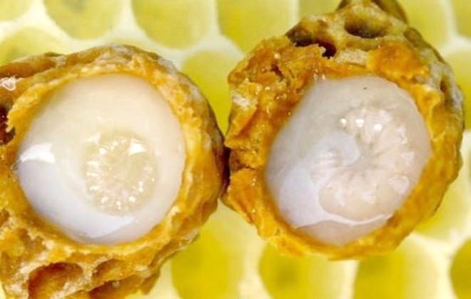 ari sutunun bir damlasi bile her derde deva foto galerisi ari sutunun bir damlasi bile her derde deva foto galerisi