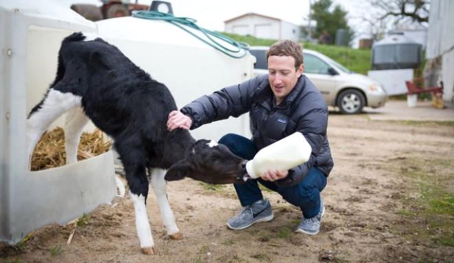 Facebook'un Kurucusu Mark Zuckerberg Hakkında 23 Bilgi