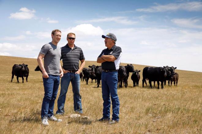 Facebook'un Kurucusu Mark Zuckerberg Hakkında 23 Bilgi