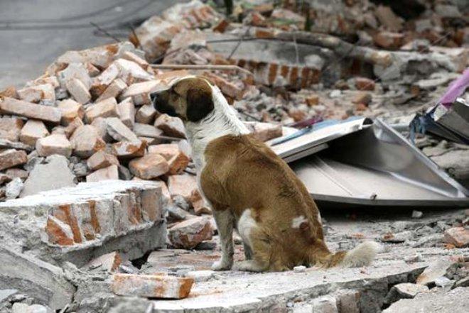 Deprem Kahininden Türkiye İçin Kritik Uyarı!