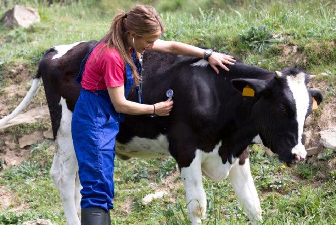 Türkiye'de Bu Mesleği Seçen İşsiz Kalmıyor!