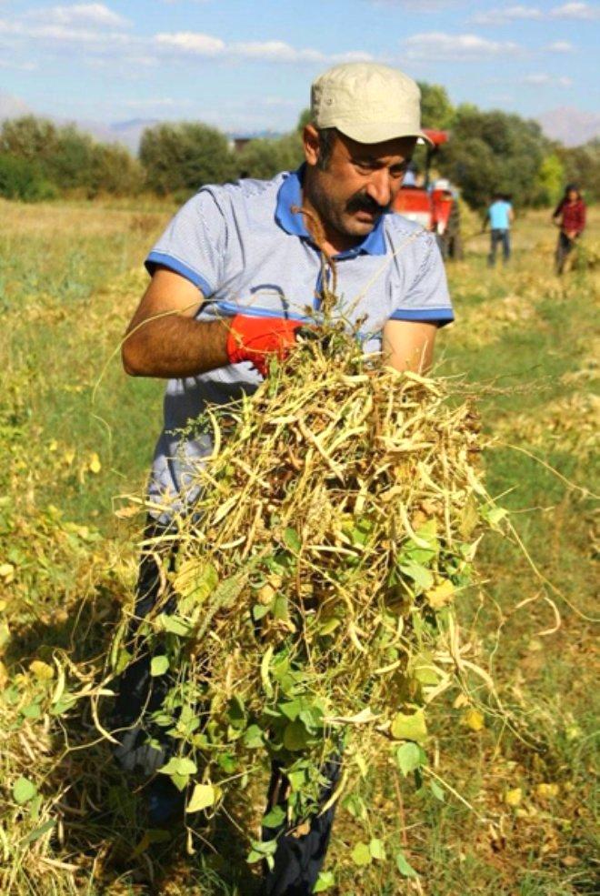 Tunceli'yi Alan Komünist Başkan Mehmet Fatih Maçoğlu'nun, Asıl Mesleğine Bakın!