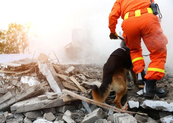 Deprem Kahininden Korkutan Uyarı! 8 Büyüklüğünde Deprem Geliyor